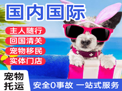 宜昌三峡航空快递国际宠物托运 【国